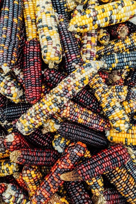 Corn
