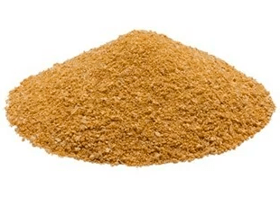 Korm 2