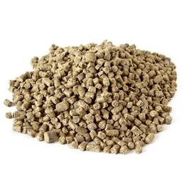 Korm 6